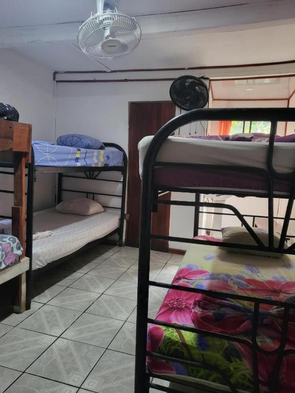 Downtown Montezuma Hostel Екстериор снимка